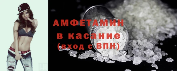 гидра Богородск