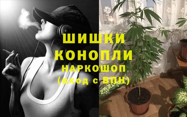 мет Белокуриха