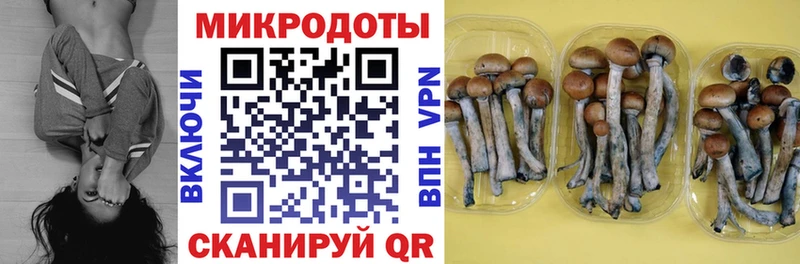 Псилоцибиновые грибы MAGIC MUSHROOMS  магазин    Богучар 